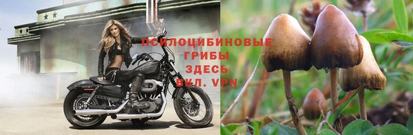 МДПВ Кулебаки