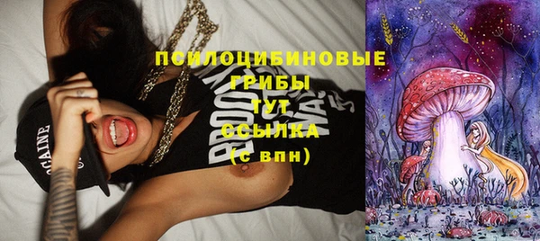 МДПВ Кулебаки