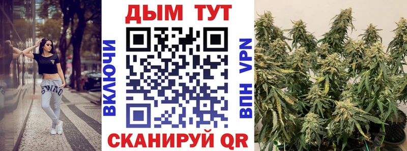 Купить где  Сосенский  МАРИХУАНА VHQ 